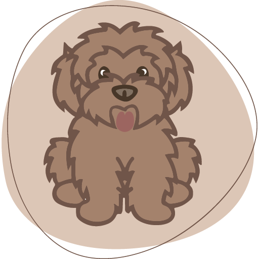 blog-waterhill-cavoodles-theodores