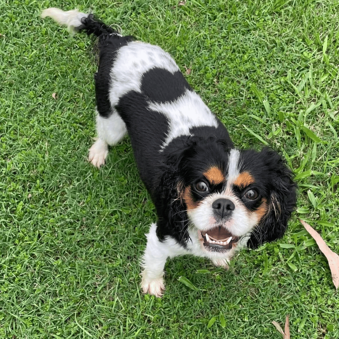 Joan
