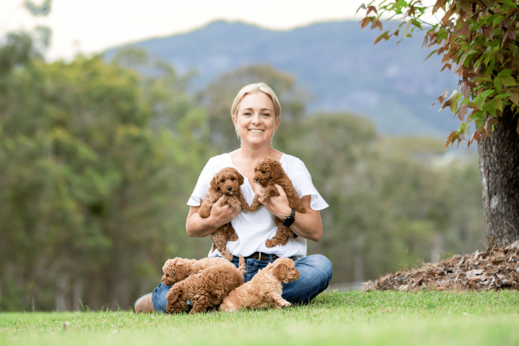 puppy-toilet-training-tips-a-guide-to-success-waterhill-cavoodles